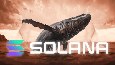 انتقال ۴۶ میلیون دلاری سولانا به بایننس؛ نگرانیهای جدید برای سرمایهگذاران؟