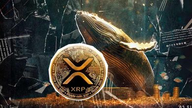 خبرهای هیجانانگیزی برای جامعه ریپل در راه است؛ نهنگها ۱۲۰ میلیون XRP خریدند!