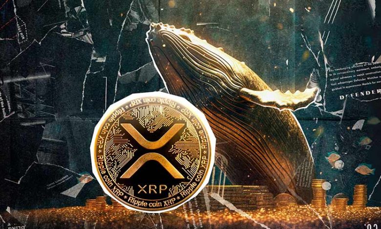 خبرهای هیجان‌انگیزی برای جامعه ریپل در راه است؛ نهنگ‌ها ۱۲۰ میلیون XRP خریدند!