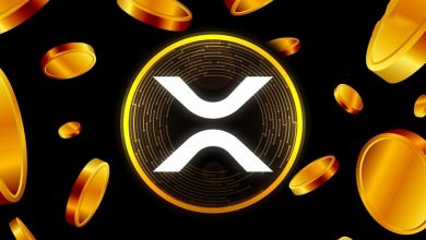 درخشش بیسابقه میمکوینهای ریپل؛ قیمت آرمی ۳۰ درصد افزایش یافت!