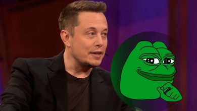 رشد ۲۰ درصدی پپه در یک روز! نقش ایلان ماسک در این جهش غیرمنتظره چیست؟