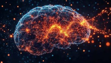 شاید جهان ما یک مغز غول‌پیکر باشد