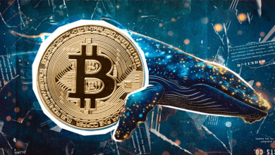 ماجرای ضرر ۱۳ میلیون دلاری نهنگ بیت‌کوین؛ تصمیم عجولانه‌ای که گران تمام شد!