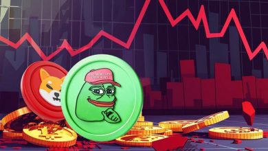 میمکوینها در لبه پرتگاه؛ معاملهگر افسانهای درباره سقوط بزرگ هشدار میدهد!