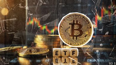 هجوم نقدینگی عظیم به بازار؛ ETFهای بیتکوین ۷۵۵ میلیون دلار جذب کردند!