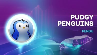 پاجی پنگوئنز آماده پرواز؟ تحلیل مقاومت‌های کلیدی و چشم‌انداز قیمت PENGU