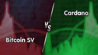 پرسودترین و پرضررترین رمزارزهای امروز (۲۳ دی ۱۴۰۳)