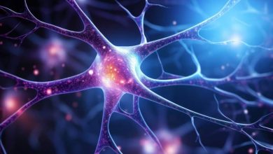 چگونه استرس میتواند حافظه و خاطرات ما را تغییر دهد؟