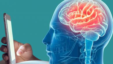 آیا اینستاگرام و ویدئوهای کوتاه باعث زوال مغز می‌شوند؟