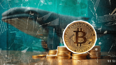 انباشت میلیاردی نهنگ‌های بیت‌کوین در کف ۸۶ هزار دلار! حرکت بعدی قیمت چیست؟