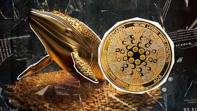 انباشت ۳۰۰ میلیون کاردانو همزمان با ریزش قیمت! آیا نهنگها سیگنال صعود میدهند؟