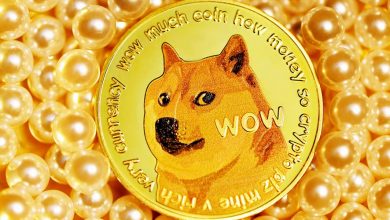 بررسی روند حرکتی دوجکوین؛ آیا DOGE آماده یک جهش تاریخی است؟