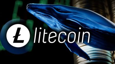 تأیید ETF لایتکوین نزدیک است؟ نهنگها ۵۱۲ میلیون دلار LTC انباشت کردند!