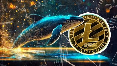 خرید سنگین نهنگها و لیست شدن ETF لایتکوین در DTCC؛ نشانهای از رشد قیمت؟