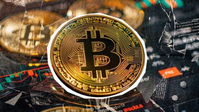 دامیننس بیت کوین در مسیر صعودی؛ عوامل کلیدی این صعود چه هستند؟