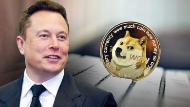 راهاندازی وبسایت رسمی DOGE؛ تحلیلگران بازار منتظر رشد بزرگ دوجکوین هستند!