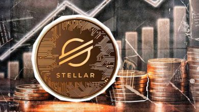 رشد قابل توجه TVL استلار؛ آیا قیمت XLM هم بالا خواهد رفت؟