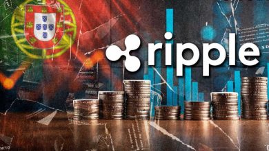 ریپل در مسیر رشد؛ همکاری جدید و افزایش سرمایه‌گذاری سازمانی