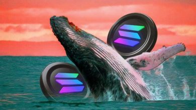 سولانا در خطر سقوط به ۱۰۹ دلار! نهنگ‌ها چه نقشه‌ای برای SOL در سر دارند؟