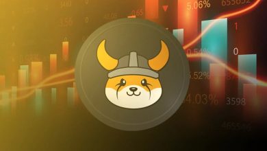 فلوکی در کانون توجه تحلیلگران برتر؛ رالی صعودی بزرگ در راه است؟