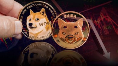میمکوینها هم از سقوط بازار در امان نماندند؛ دوجکوین و شیبا زیر فشار شدید!