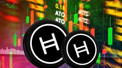 هدرا در تله خرسها؛ روند نزولی قیمت HBAR تا کجا ادامه خواهد داشت؟