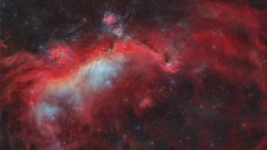 کلاه‌خود ثور در برابر مرغ‌ماهی