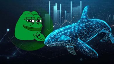 افزایش چشمگیر فعالیت نهنگ‌ها در PEPE؛ آیا روند نزولی معکوس می‌شود؟