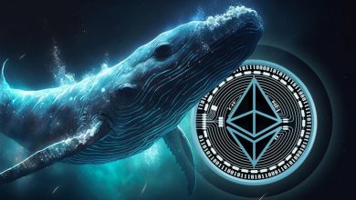 انباشت ۱.۱ میلیون اتریوم توسط نهنگها؛ الگوی تاریخی ۲۰۱۷ تکرار میشود؟