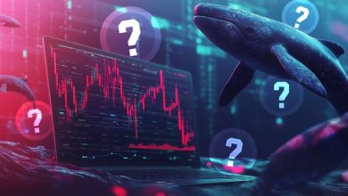 بازار کریپتو در تلاطم؛ نهنگها در این سقوط کدام رمزارزها را انباشت کردند؟