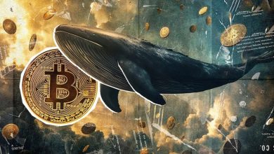 بزرگ‌ترین پوزیشن شورت تاریخ بیت‌کوین بسته شد! نهنگ فروشنده چقدر به جیب زد؟