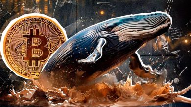 خرید ۲۰۰ میلیون دلاری بیتکوین؛ نهنگها دوباره فعال شدند!
