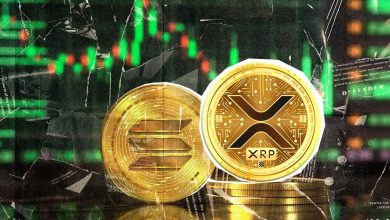 درخشش آلت‌کوین‌ها در سال ۲۰۲۵؛ کدام توکن‌ها پیشتاز آلت‌سیزن بعدی خواهند بود؟