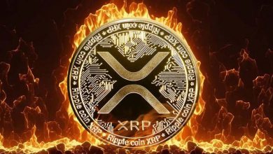 رشد به ۳ دلار یا سقوط تا ۱ دلار؟ بحث تحلیلگران در مورد ریپل بالا گرفت!