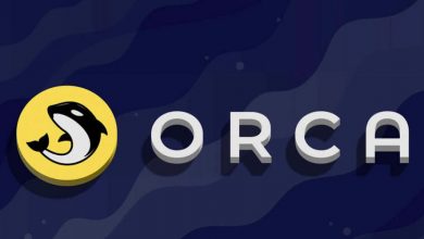 رشد ۲۱۰ درصدی قیمت و ۴۵۰۰ درصدی حجم معاملات؛ شگفتی جدید کریپتو؟