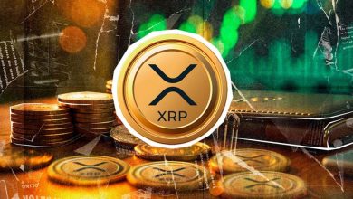 رشد ۵۸ درصدی حجم معاملات؛ آیا زمان رکوردشکنی ریپل (XRP) فرا رسیده؟