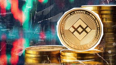 سرمایه‌گذاری احتمالی خانواده ترامپ در Binance.US؛ توکن BNB اوج می‌گیرد؟