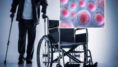 مرد ژاپنی مبتلا به فلج پس از یک تزریق توانست دوباره راه برود