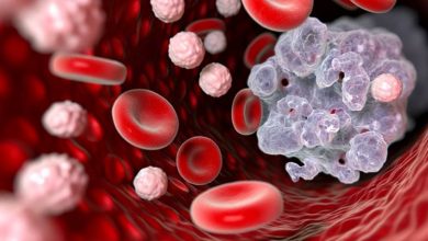 کشف آنزیم جدید در سلولهای سرطانی: آیا این کشف میتواند راهی برای درمان سرطان باشد؟”