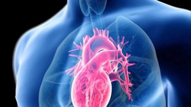 کشفی شگفتانگیز: مکملی ساده بقای بیماران نارسایی قلبی را به ۱۰۰٪ میرساند