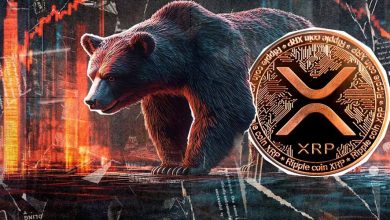 یک سرمایه‌گذاری جذاب؛ چرا ریپل را باید در بازار نزولی هم بخریم؟