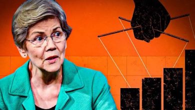 اتهام وارن به رئیسجمهور؛ آیا آشوب تعرفهها، دستکاری قیمت بهنفع رفقای سرمایهدار ترامپ بود؟