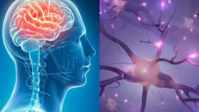 احتمال ابتلا به آلزایمر در سالمندان مجرد کمتر است