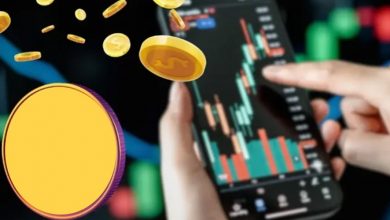 بازار در شوک سقوط و بازیابی سریع استوری و اکت! علت نوسان شدید قیمتها چه بود؟