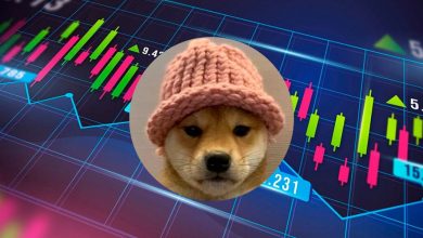 بریکاوت قدرتمند WIF پس از جهش ۶۵ درصدی؛ هدف بعدی سگ کلاهدار کجاست؟