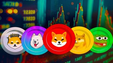 حرکت خلاف جهت میمکوینها در بازار، شیبا اینو پیشتاز در این رقابت!