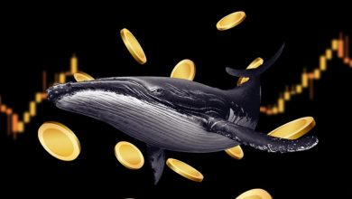 خرید سنگین در سایه سقوط؛ ۲ رمزارزی که نهنگ‌ها به آن‌ها چشم دوخته‌اند!