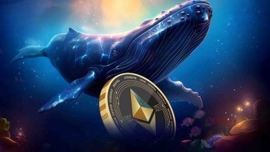 خرید گسترده نهنگهای اتریوم در زمان افت قیمت؛ سیگنالی برای صعود ETH؟