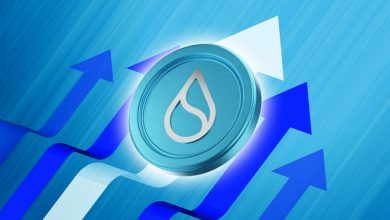 رشد انفجاری سویی (SUI) همزمان با شایعات همکاری با برند محبوب!