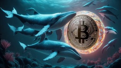 رکوردشکنی کیفپولهای بزرگ BTC؛ نهنگها آماده موج صعودی بعدی؟